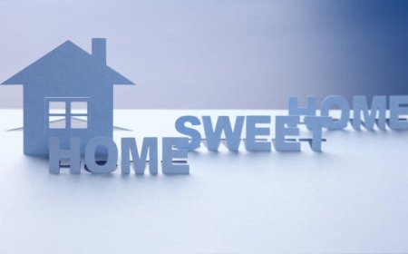 Home Sweet Home: Why Homeowner's Insurance is a Must-Have